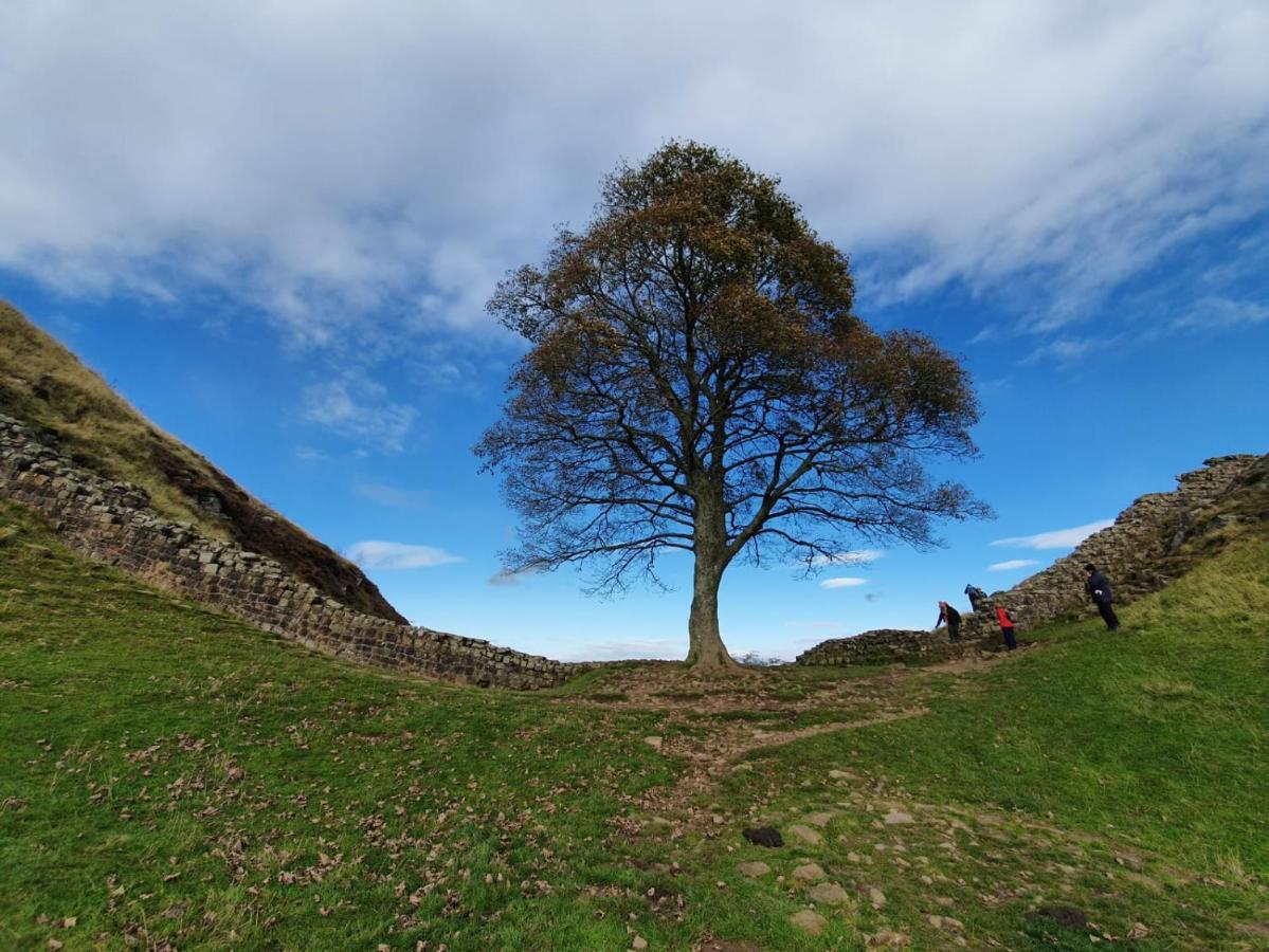 Moonflower Lodge Newton on the Moor Bagian luar foto