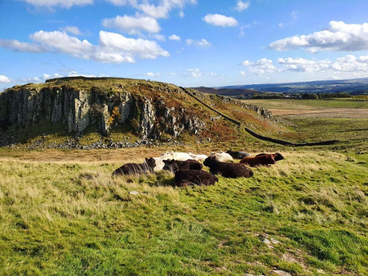 Moonflower Lodge Newton on the Moor Bagian luar foto